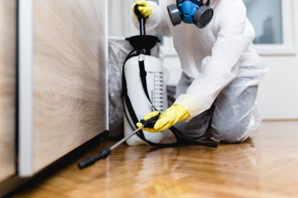 Wildlife Control Services in Campton Hills, IL
