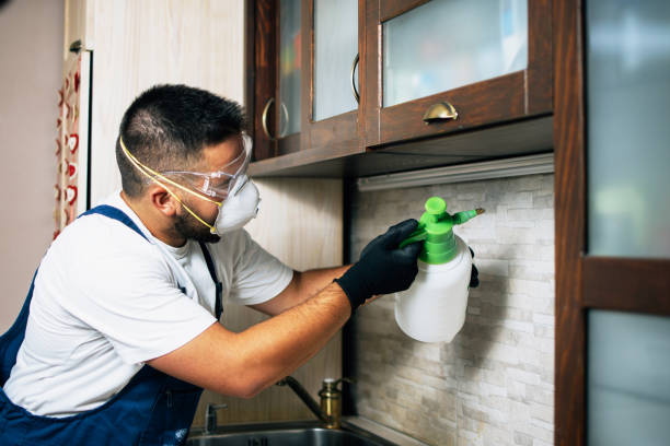 Best Cockroach Control Services  in Campton Hls, IL