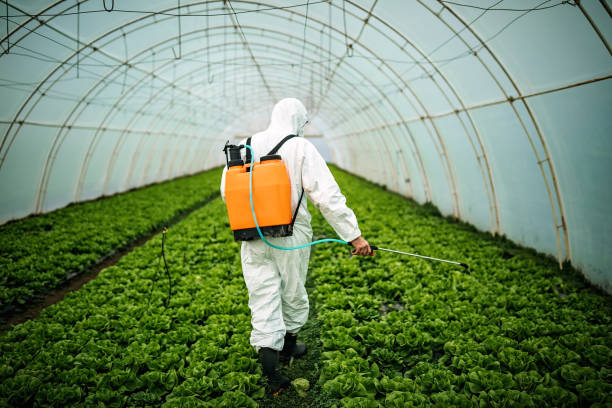 Pest Prevention Services in Campton Hills, IL