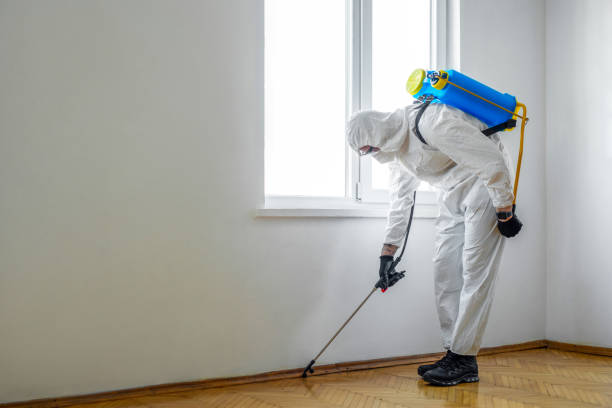 Best Bed Bug Extermination  in Campton Hls, IL