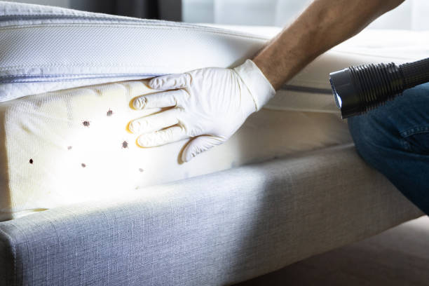 Best Pest Prevention Services  in Campton Hls, IL