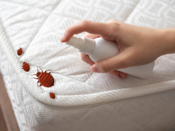 Trusted Campton Hills, IL Pest Control Experts