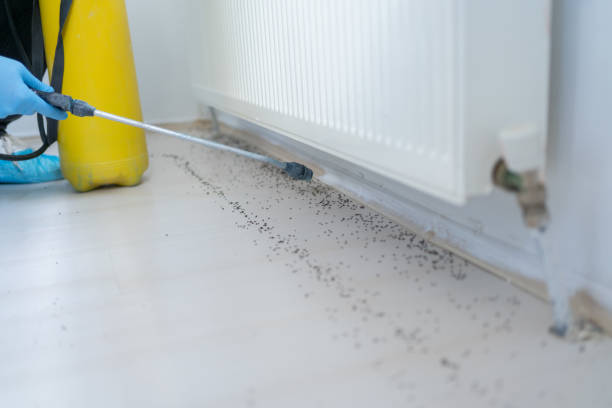 Best Residential Pest Control  in Campton Hls, IL