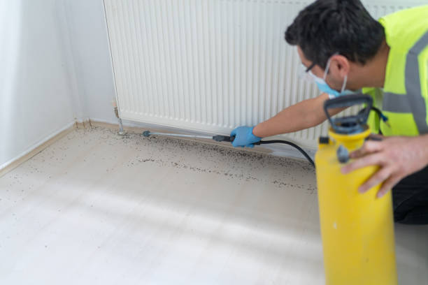 Best Best Pest Control Companies  in Campton Hls, IL